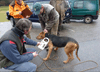 dsc_0018.jpg