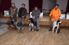 dsc_0021.jpg