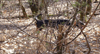 dsc_0023.jpg