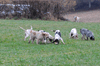 dsc_0014.jpg