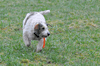 dsc_0015.jpg