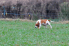 dsc_0016.jpg