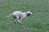 dsc_0019.jpg