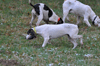 dsc_0021.jpg