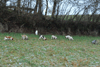 dsc_0022.jpg