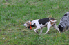 dsc_0026.jpg