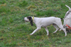 dsc_0029.jpg
