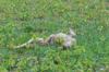 dsc_0034.jpg