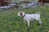 dsc_0035.jpg