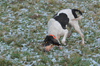 dsc_0038.jpg