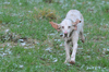 dsc_0044.jpg