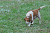 dsc_0045.jpg