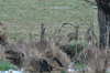 dsc_0047.jpg