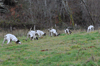 dsc_0057.jpg