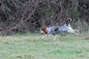 dsc_0060.jpg