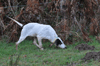dsc_0061.jpg