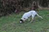 dsc_0062.jpg