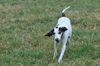 dsc_0064.jpg