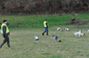 dsc_0067.jpg