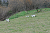 dsc_0068.jpg
