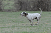 dsc_0069.jpg