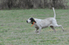 dsc_0071.jpg