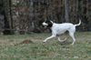 dsc_0072.jpg
