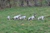 dsc_0074.jpg