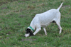 dsc_0075.jpg