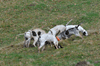 dsc_0077.jpg