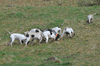 dsc_0078.jpg
