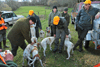 dsc_0085.jpg
