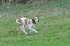 dsc_0094.jpg