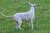 dsc_0095.jpg
