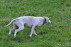 dsc_0096.jpg
