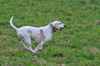 dsc_0097.jpg