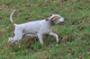 dsc_0098.jpg