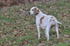 dsc_0099.jpg