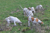 dsc_0100.jpg