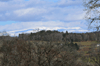dsc_0103.jpg