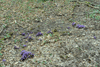 dsc_0021.jpg
