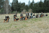dsc_0072.jpg