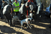 dsc_0079.jpg