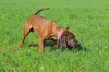 dsc_0107.jpg