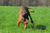 dsc_0110.jpg