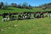 dsc_0149.jpg