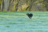dsc_0018.jpg