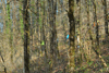 dsc_0060.jpg