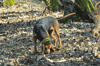 dsc_0096.jpg