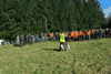 dsc_0039.jpg
